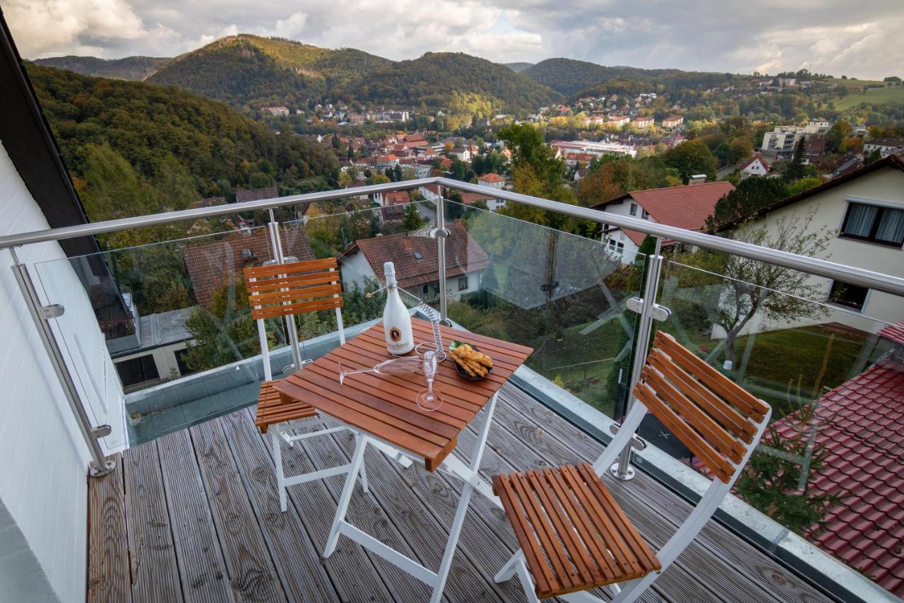 Harz Living - Ferienwohnungen Mit Traumblick Бад-Лаутерберг Экстерьер фото